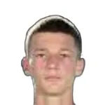 ستيفان دزوديك